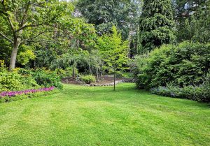 Optimiser l'expérience du jardin à Neuilly-sur-Eure